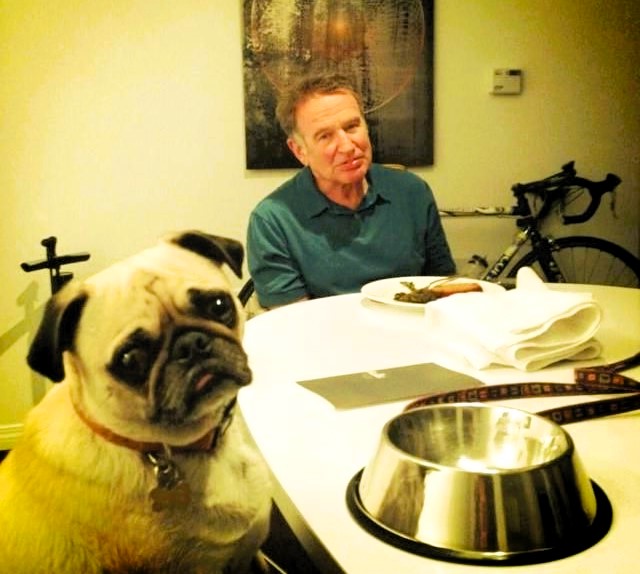 Robin Williams pug