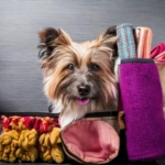 Supplies for Your Pet Dog