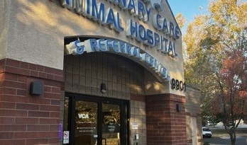 Top Services Offered by VCA Veterinary Pet Hospitals