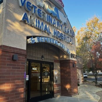 Top Services Offered by VCA Veterinary Pet Hospitals