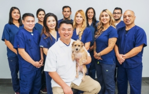 Why VCA Pet Hospitals are a Top Choice for Your Dog’s Health