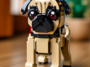 How to Build Your Own LEGO Pug