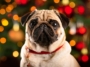 Pug Ornament