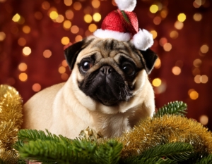 Pug Ornament