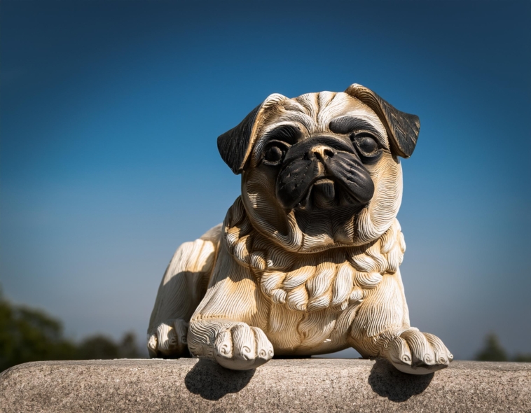 Pug Statue