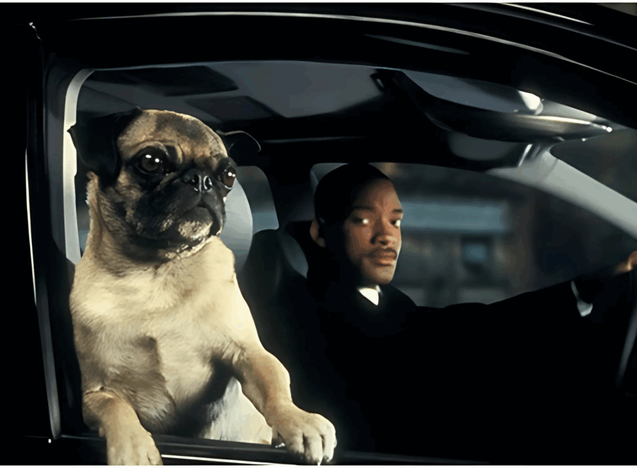 Mib Dog