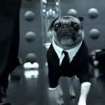 Mib Dog