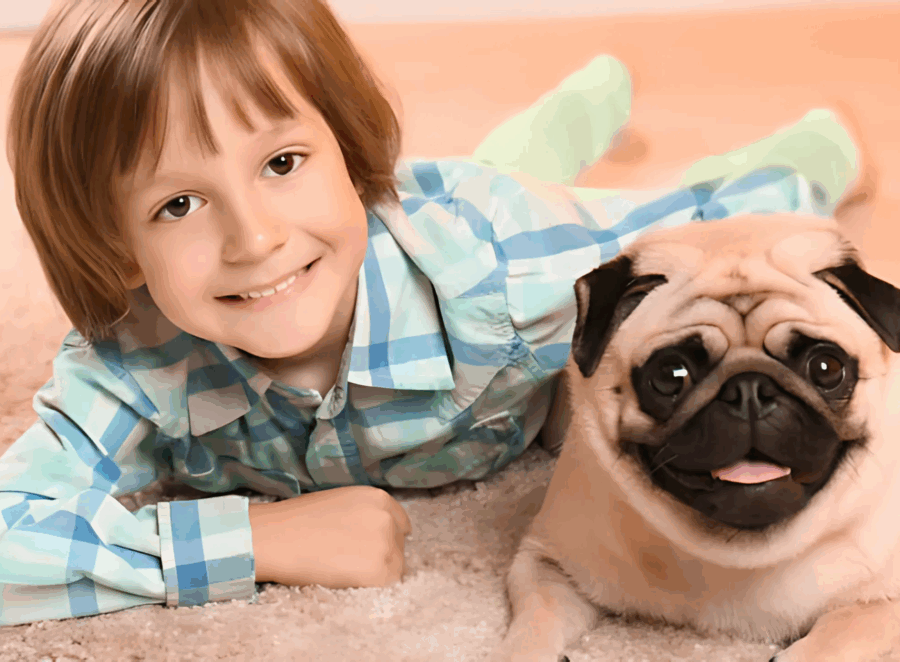 Creating a Pug Friendly Home Environment
