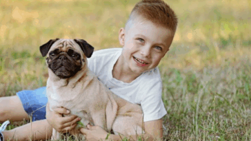 Are Pugs Easy to Socialize