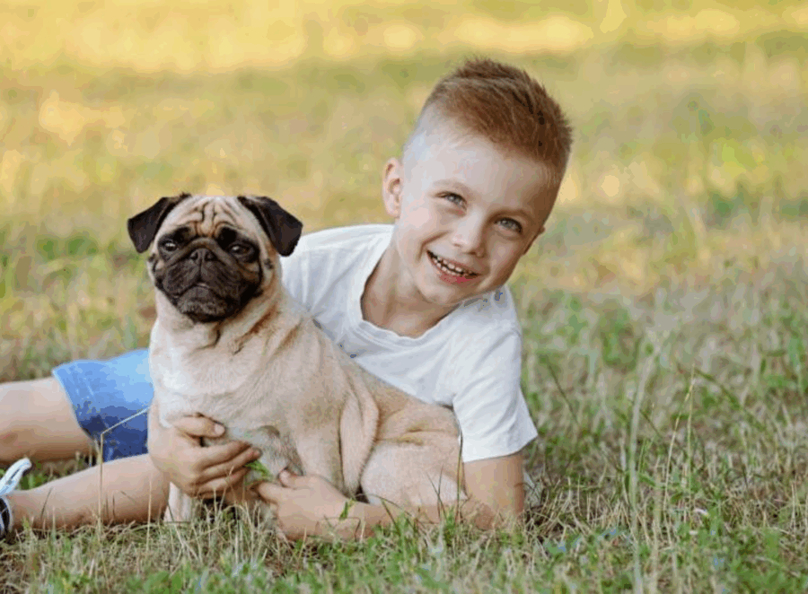 Are Pugs Good with Kids