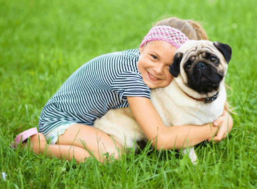 Are Pugs Good with Kids