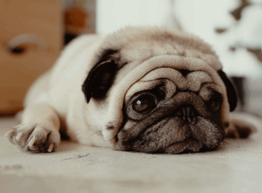 Nail Clipping Without the Drama