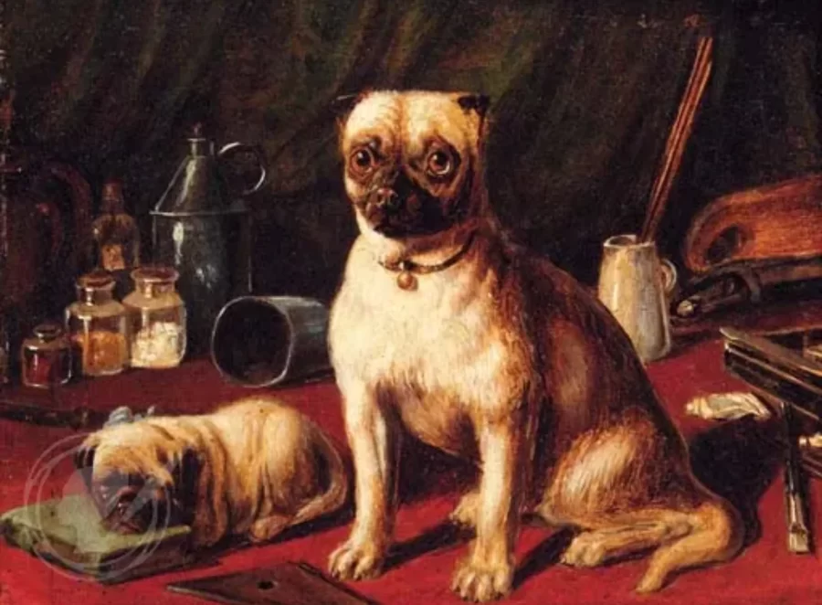 How Pugs Became a Luxury Pet for the Elite