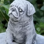 Pugs in Victorian England A Status Symbol