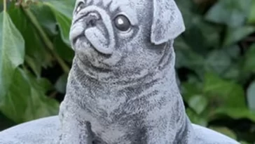 Pugs in Victorian England A Status Symbol