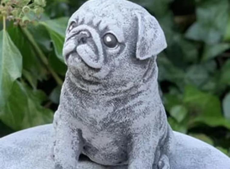 Pugs in Victorian England A Status Symbol