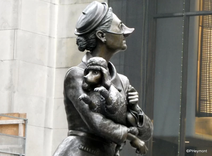 Pugs in Victorian England A Status Symbol