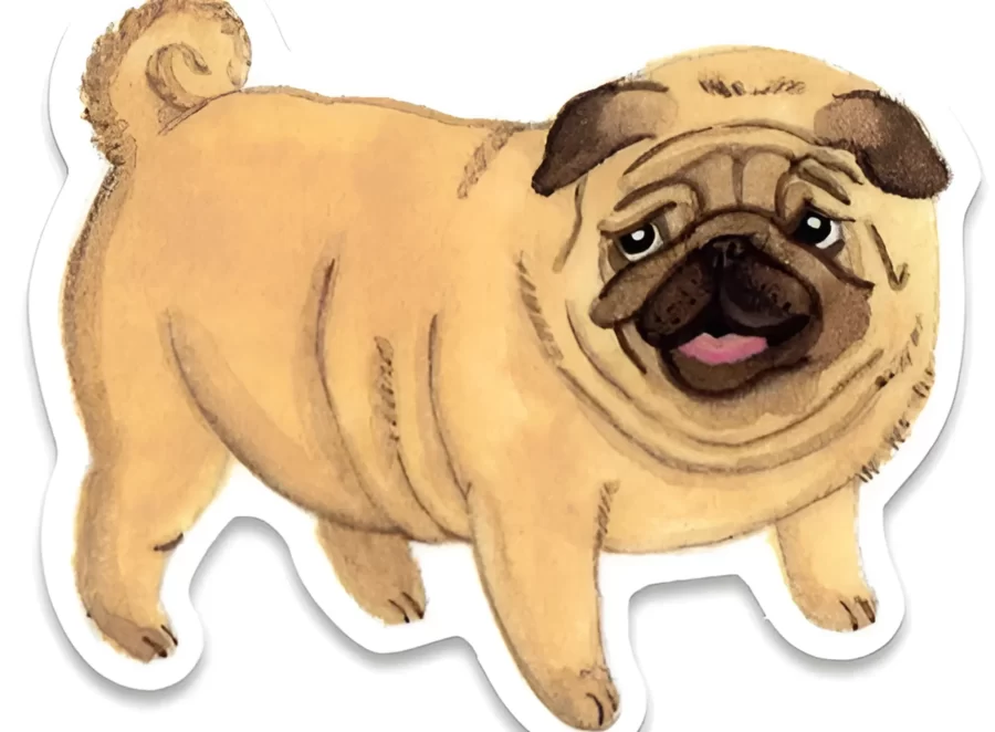 Pug Sticker Designs You Can Print