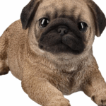 pug-themed home decor