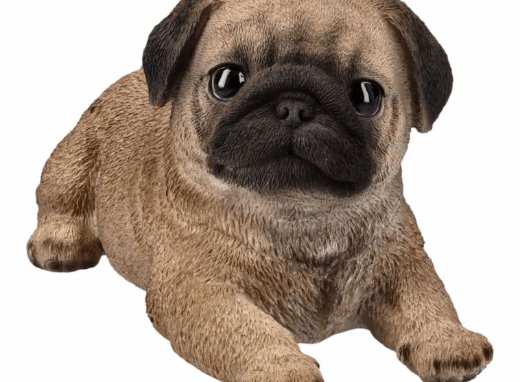 pug-themed home decor