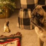 Pug Lovers Gift Guide
