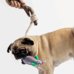pug toys for aggressive chewers
