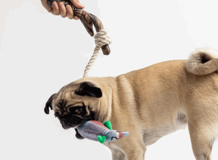 pug toys for aggressive chewers