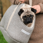 Pug Travel Carrier Review