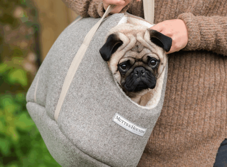Pug Travel Carrier Review