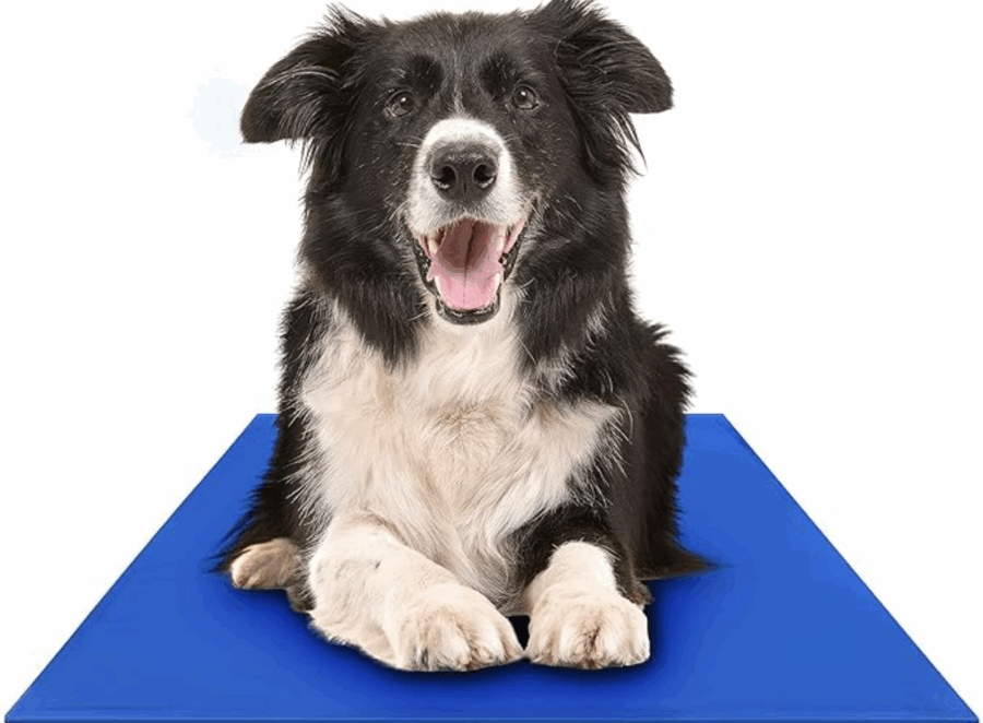 cooling mats for flat-faced dogs
