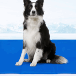 cooling mats for flat-faced dogs