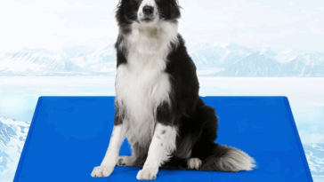 cooling mats for flat-faced dogs