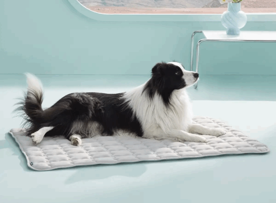 cooling mats for flat-faced dogs