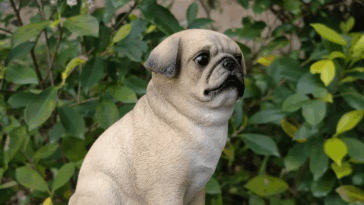 Pug Gifts For Dog Lovers