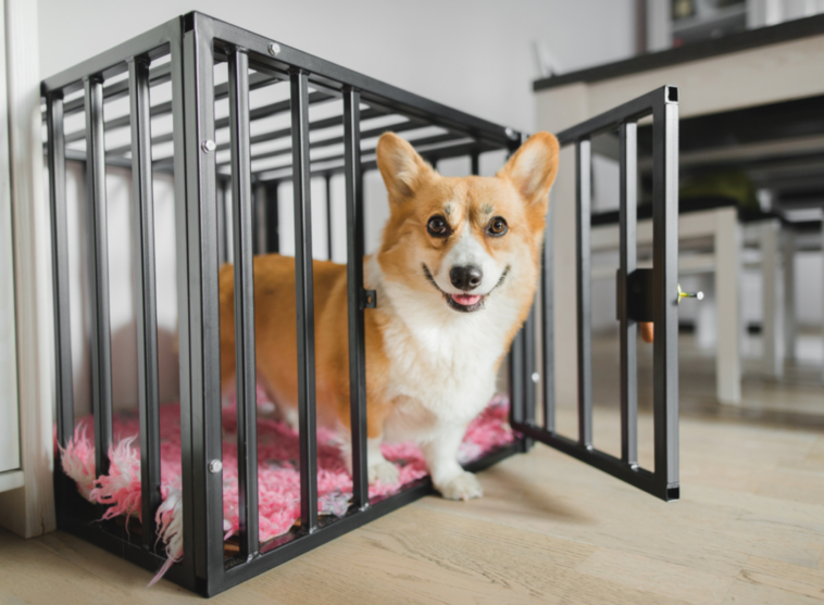 Puppy Crate